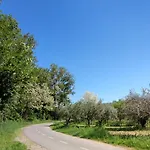 Apartman Bordon Wines, Estate With