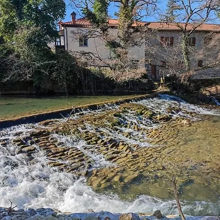 Bordon Wines, Estate With Apartment Dekani
