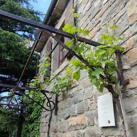 公寓 Bordon Wines, Estate With Dekani