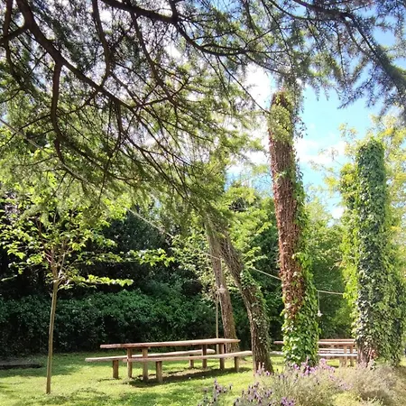 Bordon Wines, Estate With