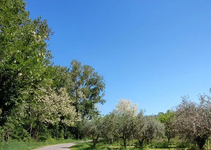 公寓 Bordon Wines, Estate With