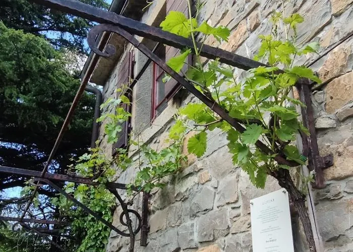 Appartamento Bordon Wines, Estate With Dekani