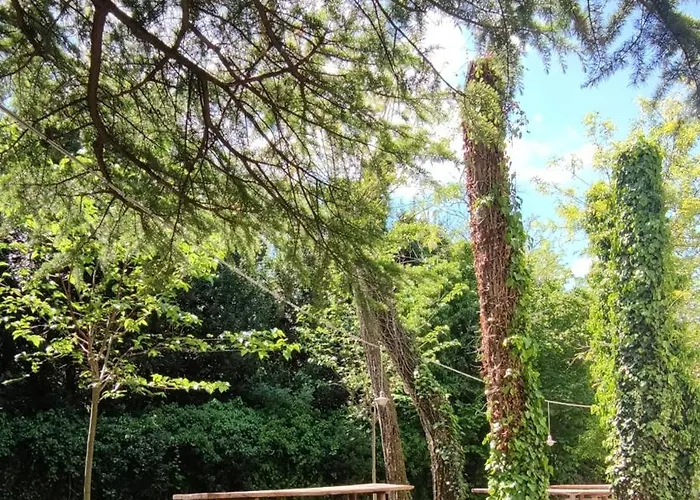 Bordon Wines, Estate With